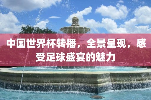 中国世界杯转播，全景呈现，感受足球盛宴的魅力眉山市正发家政服务有限公司