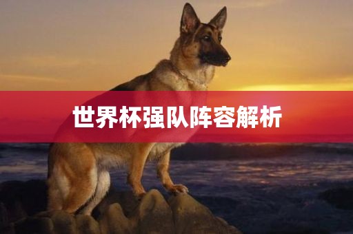 世界杯强队阵容解析