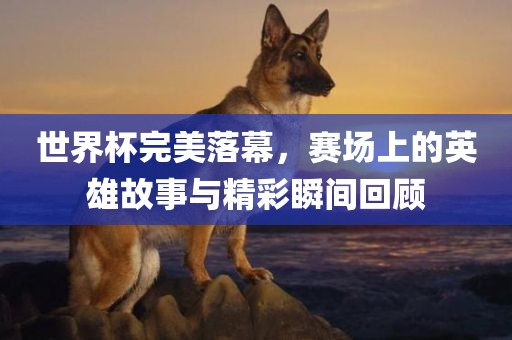 世界杯完美落幕，赛场眉山市正发家政服务有限公司上的英雄故事与精彩瞬间回顾