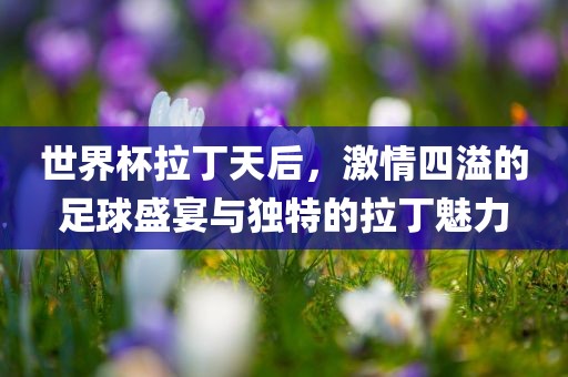 眉山市正发家政服务有限公司世界杯拉丁天后，激情四溢的足球盛宴与独特的拉丁魅力