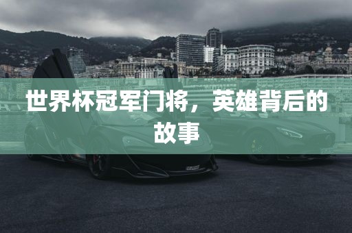 世界杯冠军门将，英雄背后的故事眉山市正发家政服务有限公司