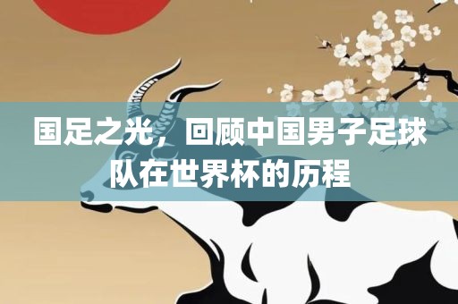 国足之光，回顾中国男子足球队在世界杯的历程眉山市正发家政服务有限公司