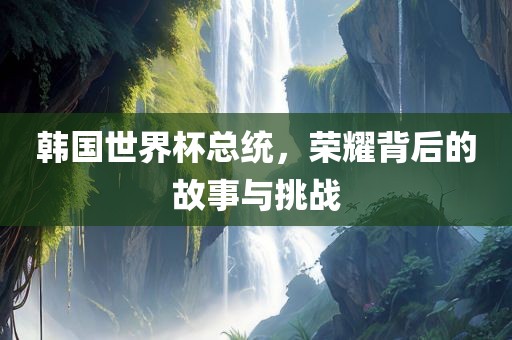韩国世界杯总统，荣耀背后的故事与挑战眉山市正发家政服务有限公司