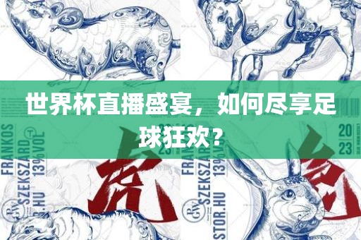 世界杯直播盛宴，如何尽享足球狂欢？眉山市正发家政服务有限公司