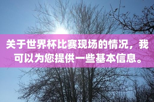关于世界杯比赛现场的情况，我可以为您提供一些基本信息。眉山市正发家政服务有限公司