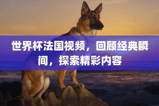 世界杯法国眉山市正发家政服务有限公司视频，回顾经典瞬间，探索精彩内容