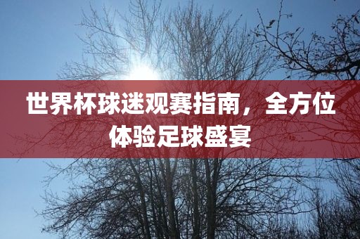 世界杯球迷观赛指南，全方位体验足球盛宴