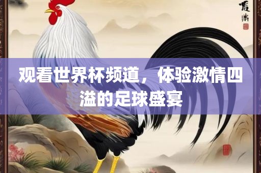 观看世界杯频道，体验激情四溢的足球盛宴