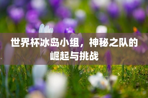 世界眉山市正发家政服务有限公司杯冰岛小组，神秘之队的崛起与挑战