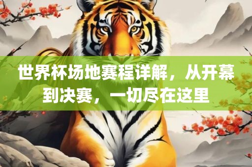 世界杯场地赛程详解，从开幕到决赛，一切尽在这里眉山市正发家政服务有限公司