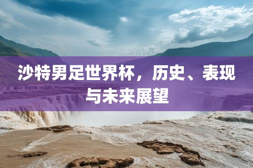 沙特男足世界杯，历史、表现与未来展望