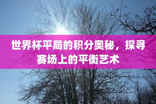 世界杯平局的积分奥秘，探寻赛场上的平衡艺术眉山市正发家政服务有限公司