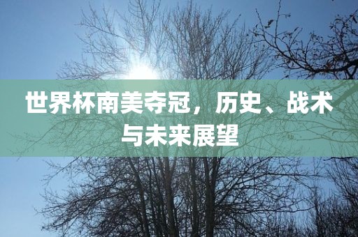 世界杯南美夺冠，历史、战术与未来展望