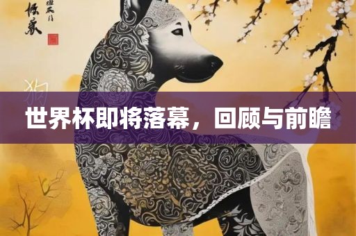 世界杯即将落幕，回顾与前瞻