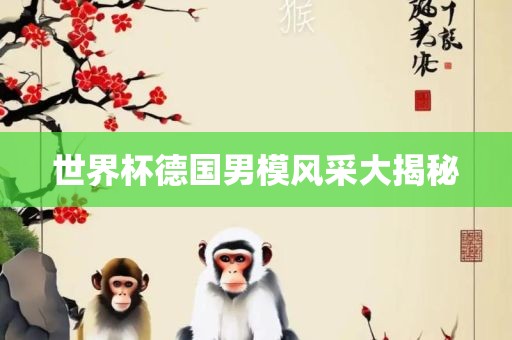 世界杯德国男模风采大揭秘