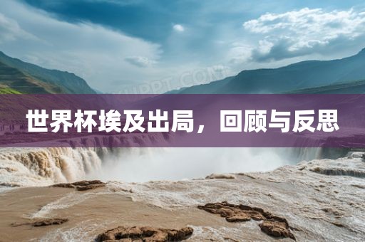 世界杯埃及出局，回顾与反思眉山市正发家政服务有限公司