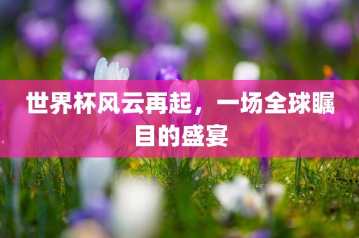 世界杯风云再起，一场全球瞩目的盛宴眉山市正发家政服务有限公司