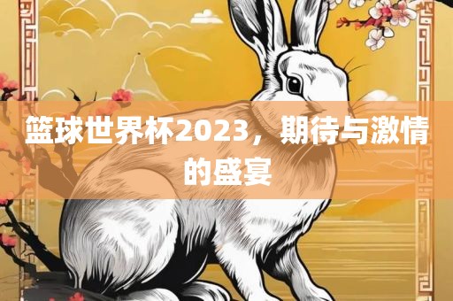 篮球世界眉山市正发家政服务有限公司杯2023，期待与激情的盛宴