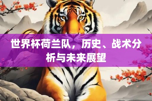 世界杯荷兰队，历史、战术分析与未来展望