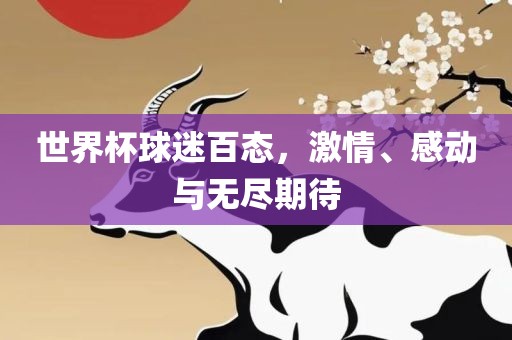 世界杯球迷百态，激情、感动与无尽期待眉山市正发家政服务有限公司