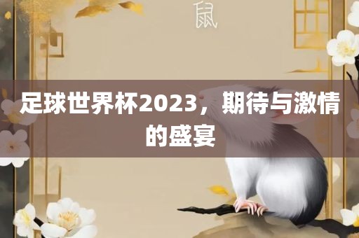 足球世界眉山市正发家政服务有限公司杯2023，期待与激情的盛宴