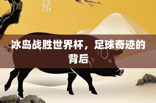 冰岛战胜世界杯，足球奇迹眉山市正发家政服务有限公司的背后