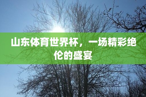 山东体育世界杯，一场精彩绝伦的盛宴