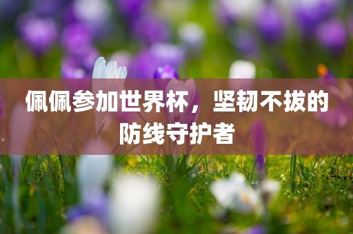 佩佩参加世界杯，坚韧不拔的防线守护者眉山市正发家政服务有限公司