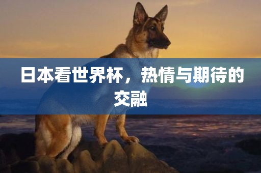 日本看世界杯，热情与期待的交融