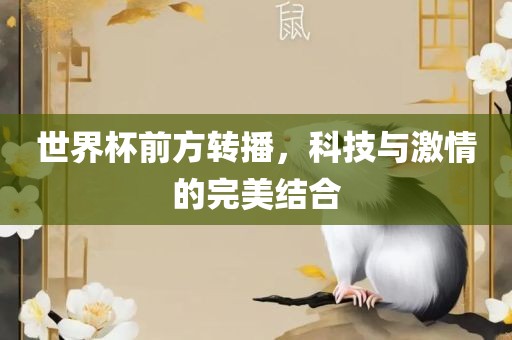 世界杯前方转播，科技与激情的完美结合