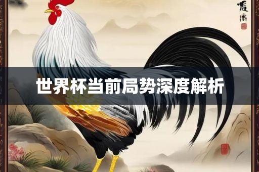 世界杯当前局势深度解析