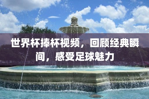 世界杯捧杯视频，回顾经典瞬间，感受足球魅力