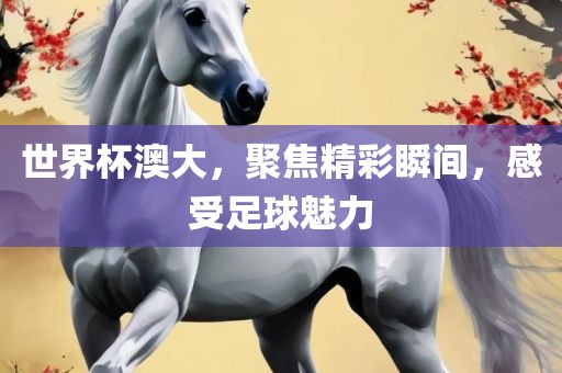 世界杯澳大，聚焦精彩瞬间，感受足球魅力