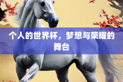 个人的世界杯，梦想与荣耀的舞台