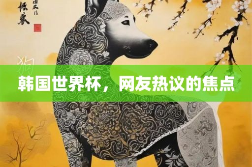 韩国世界杯，网友热议的焦点