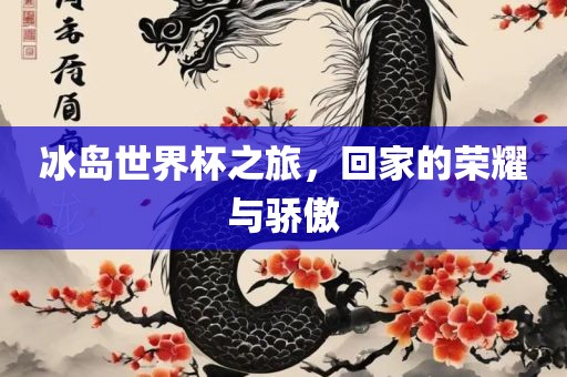 冰岛世界杯之旅，回家的荣耀与骄傲