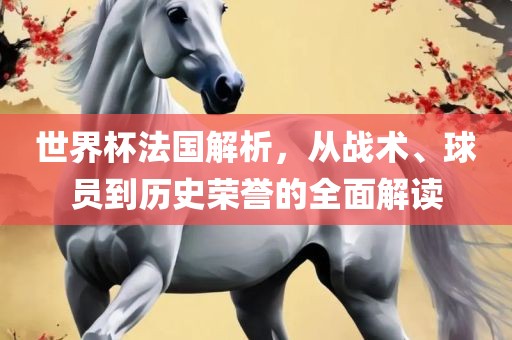 世界杯法国解析，从战术、球员到历史荣誉的全面解读