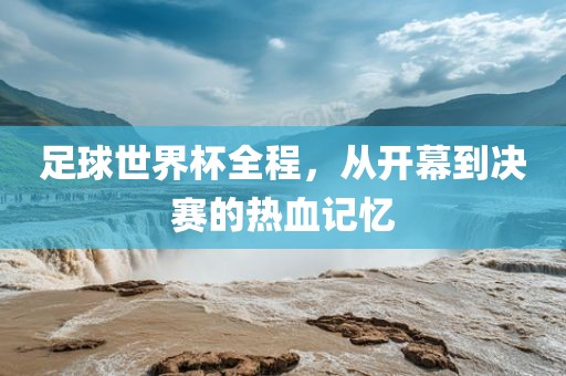 足球世界杯全程，从开幕到决赛的热血记忆