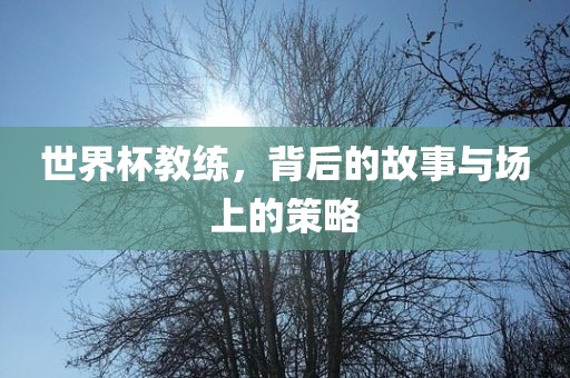 世界杯教练，背后的故事与场上的策略