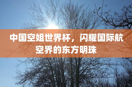中国空姐世界杯，闪耀国际航空界的东方明珠
