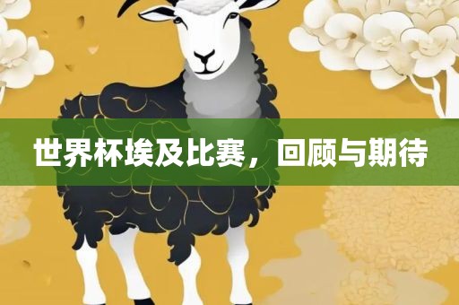 世界杯埃及比赛，回顾与期待