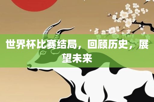 世界杯比赛结局，回顾历史，展望未来