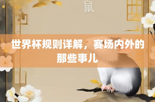 世界杯规则详解，赛场内外的那些事儿