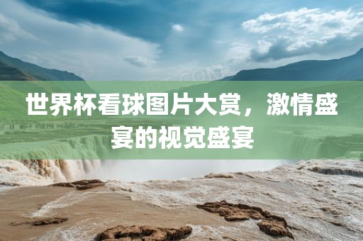 世界杯看球图片大赏，激情盛宴的视觉盛宴