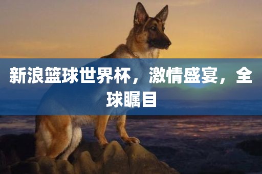 新浪篮球世界杯，激情盛宴，全球瞩目