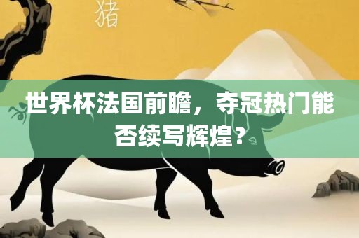 世界杯法国前瞻，夺冠热门能否续写辉煌？