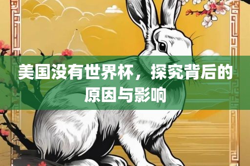 美国没有世界杯，探究背后的原因与影响