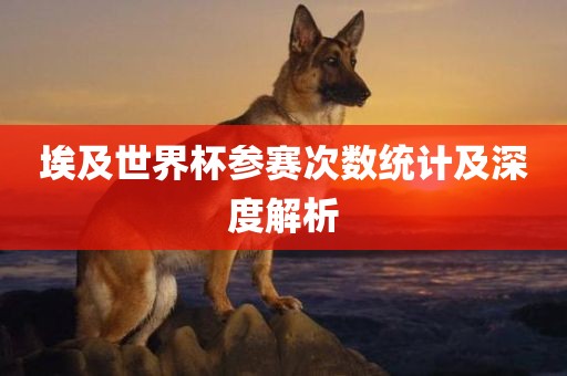 埃及世界杯参赛次数统计及深度解析