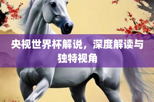 央视世界杯解说，深度解读与独特视角