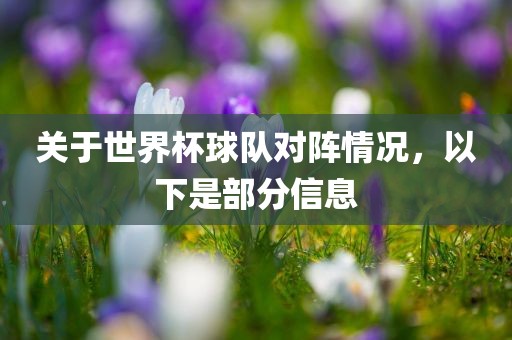 关于世界杯球队对阵情况，以下是部分信息